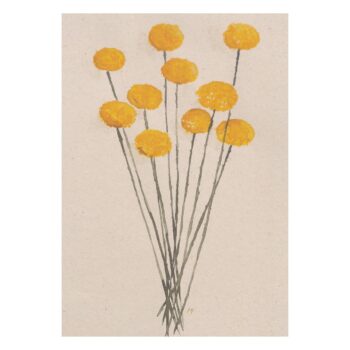 Ansichtkaart: Bosje craspedia's