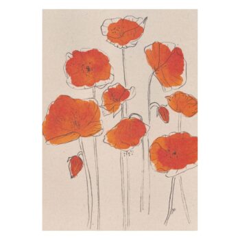 Wilde klaprozen veldje ansichtkaart