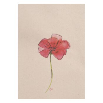 Ansichtkaart rode klaproos